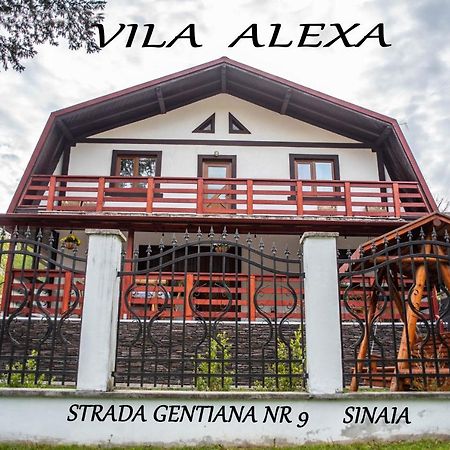 Casa Alexa Villa ซินายา ภายนอก รูปภาพ